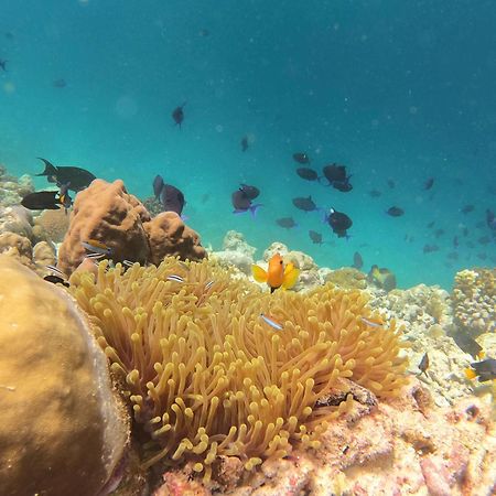 Kamadhoo Inn Buitenkant foto
