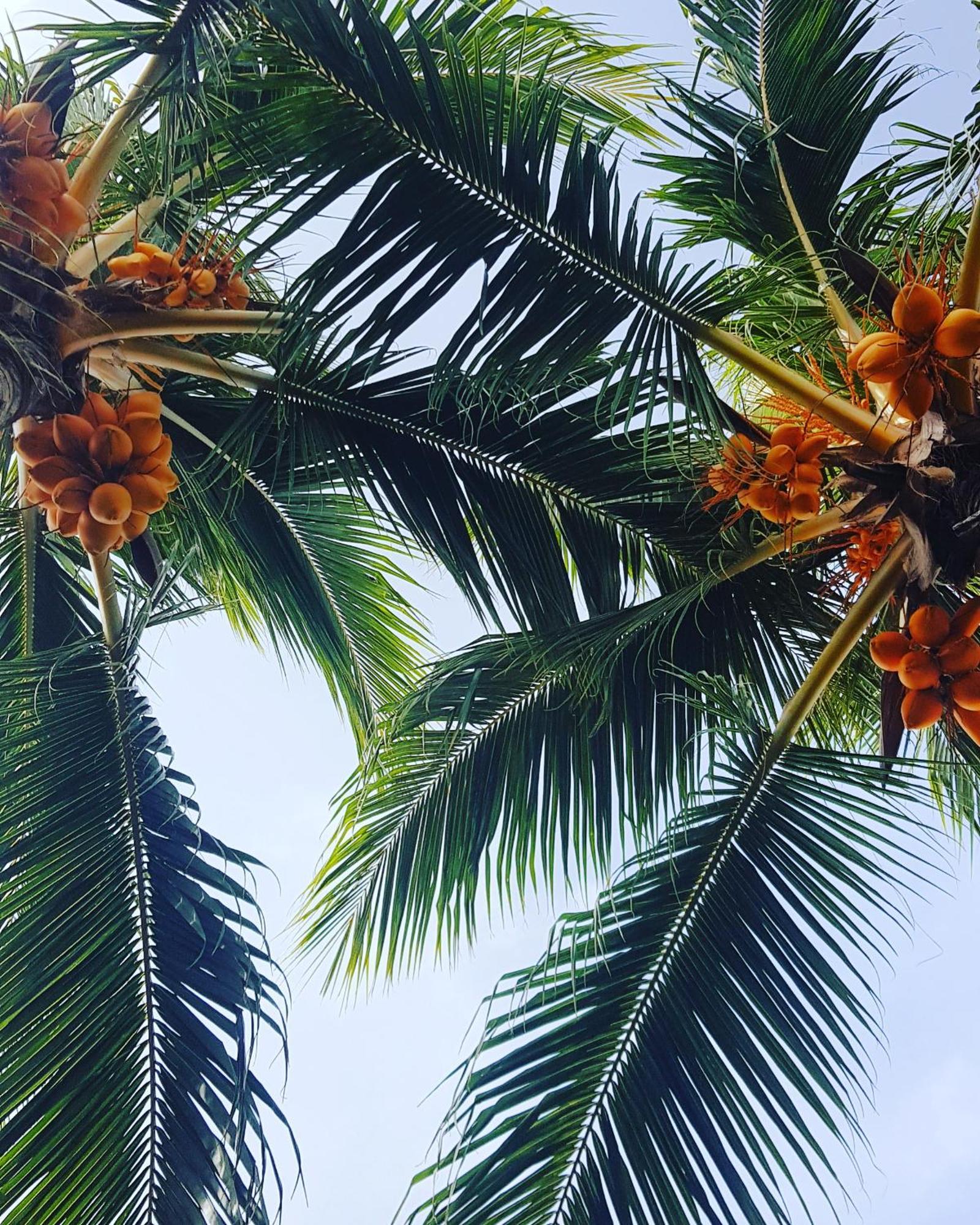Kamadhoo Inn Buitenkant foto